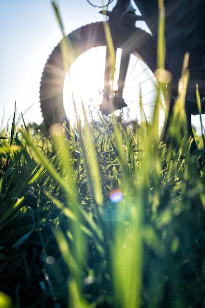 Roue d'un vélo contre le soleil dans l'herbe