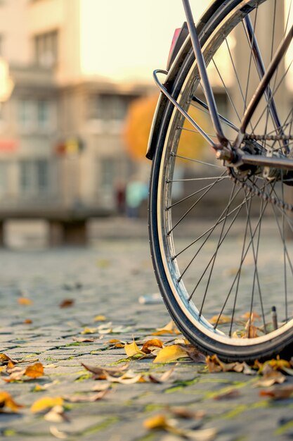 Roue de vélo sur la ville