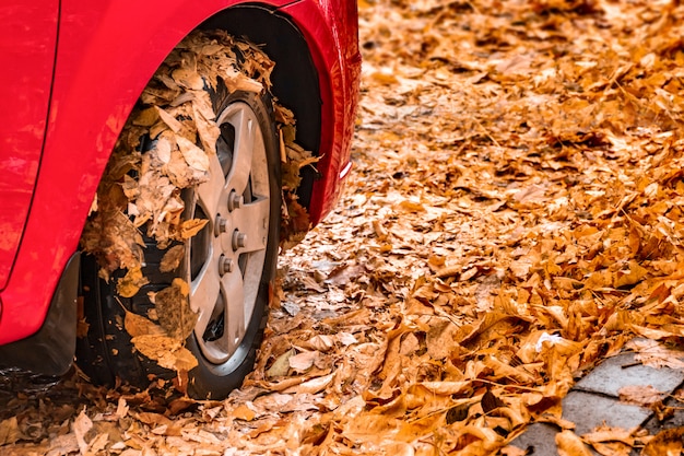 Roue de voiture rouge en feuilles d'automne