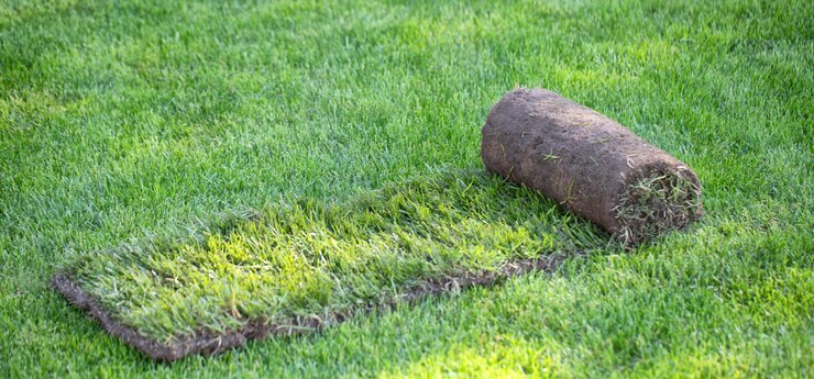 Photo rouleau d'herbe de pelouse sportive dans l'arrière-cour. création d'un aménagement paysager ou d'un terrain de golf. gros plan, mise au point sélective.