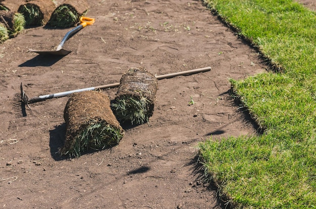 Rouleaux d'herbe à gazon le jour ensoleillé maison de campagne et aménagement paysager