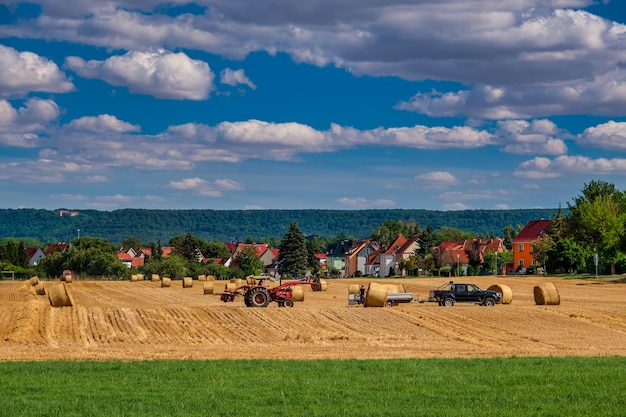 Rouleaux de meules de foin paille sur le champ de récolte de blé Champ rural avec des balles de foin Paysage