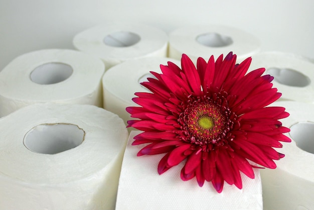 rouleaux de papier toilette gerbera rouge, papier toilette hygiénique 3 plis fleur rose, soins personnels, doux