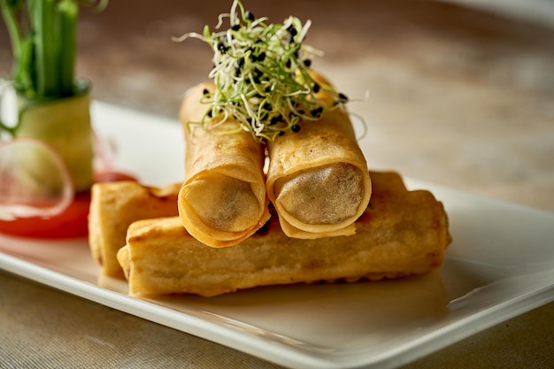 Rouleaux de printemps avec de la viande frite dans une friteuse Gros plan sur le bruit de postproduction Mise au point sélective