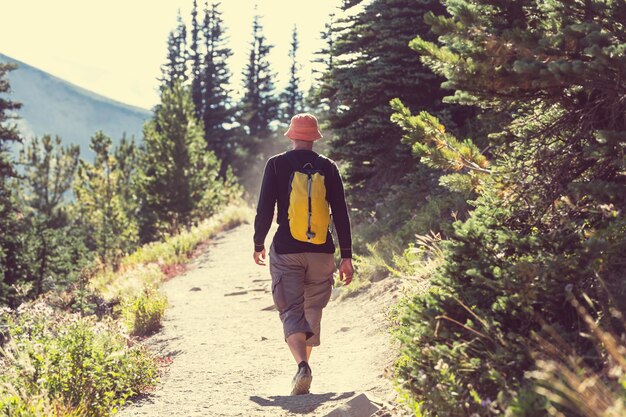 Routard dans les montagnes d'été