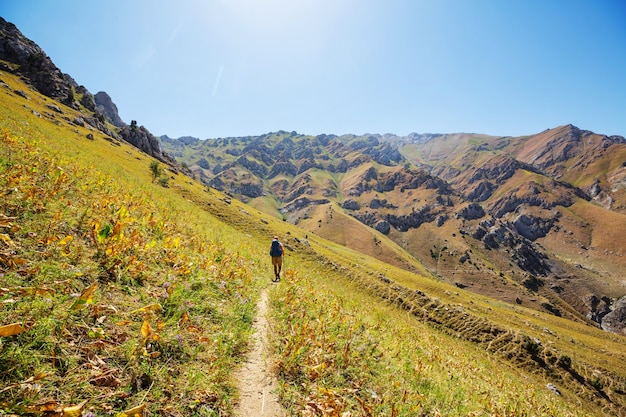 Routard dans les montagnes d'été