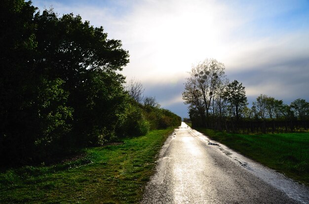 Route après la pluie