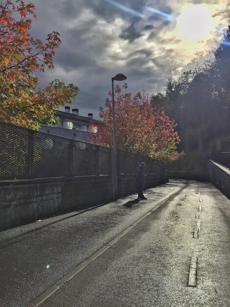 Photo route avec des arbres en arrière-plan