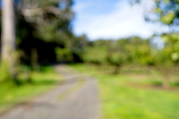 Une route avec des arbres en arrière-plan