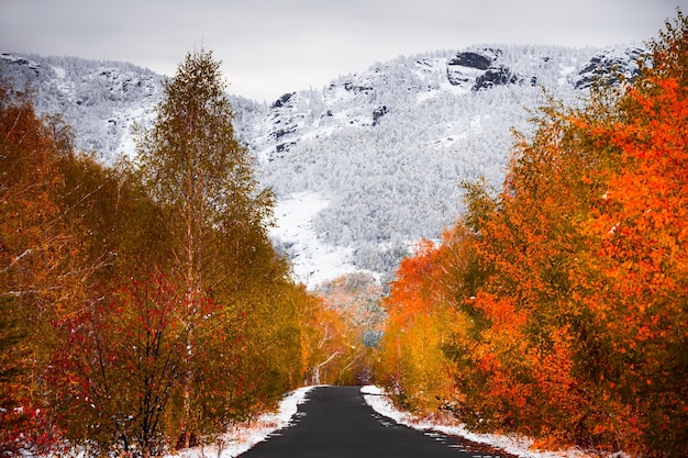 Route avec des arbres d'automne jaunes et des montagnes enneigées