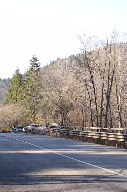 Une route avec des arbres de chaque côté