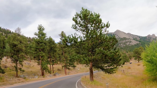 Une route avec des arbres sur le côté et une montagne en arrière-plan