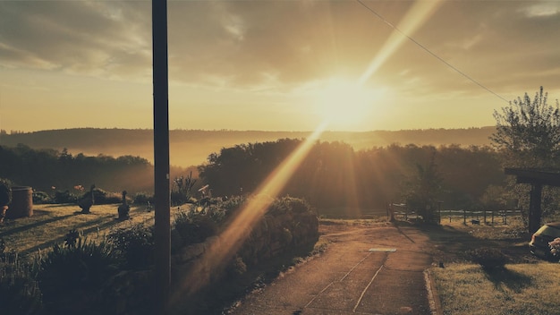 Une route avec des arbres et des montagnes au coucher du soleil