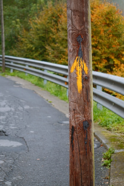 Photo la route avec des arbres