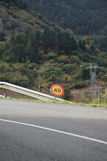 La route avec des arbres