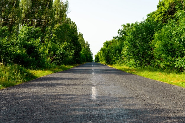 La route en asphalte s'en va.