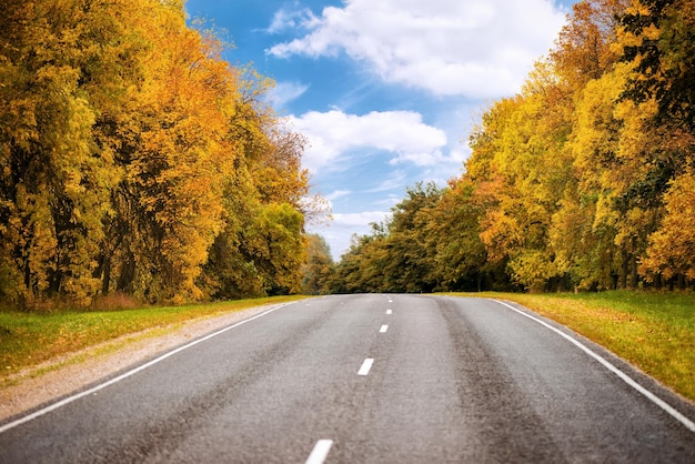 Route asphaltée dans la forêt d'automne