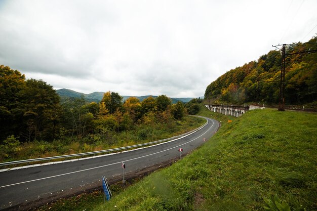 Route asphaltée dans la montagne forestière