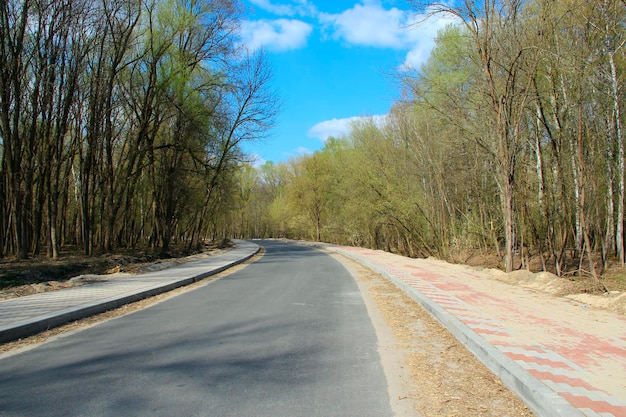 Route asphaltée dans le parc du printemps Route vide dans le bois Route dans le parc de la ville entre les arbres au printemps