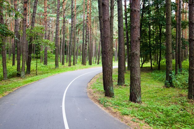 route asphaltée en été