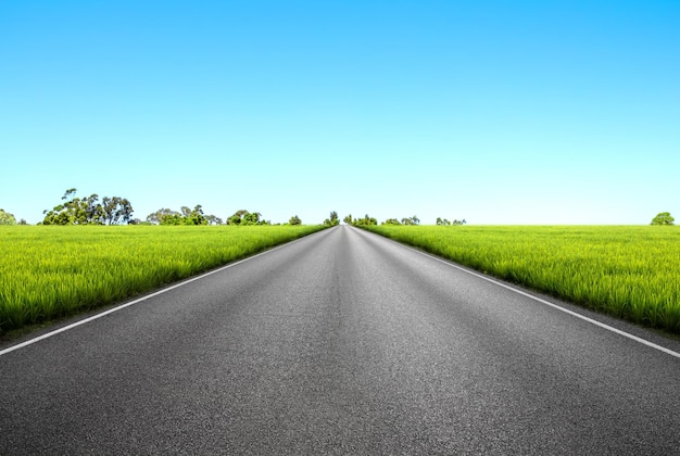 Route asphaltée à travers le champ vert et ciel bleu