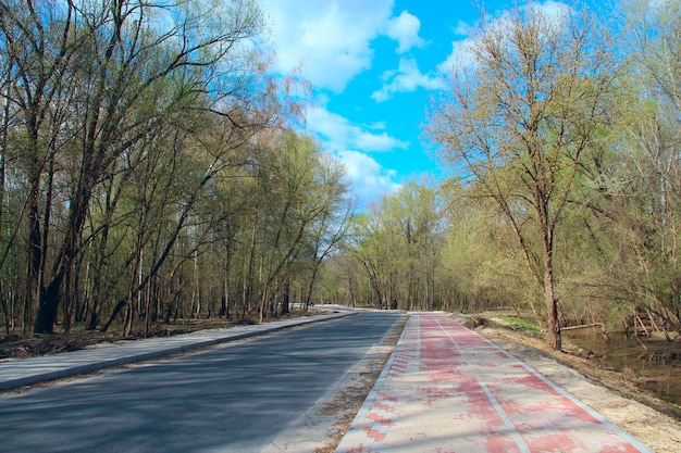 Route asphaltée avec trottoir dans le parc du printemps Route vide en bois Route dans le parc de la ville entre les arbres au printemps