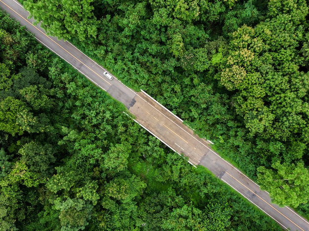 Route asphaltée, à, vert, forêt tropicale, à, campagne, de, thaïlande
