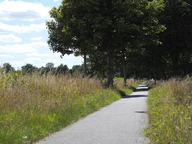 Photo la route au milieu des arbres sur le champ contre le ciel