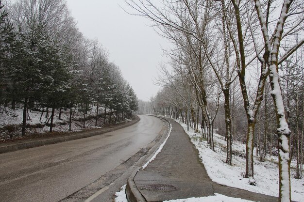 Photo route au milieu des arbres contre le ciel en hiver