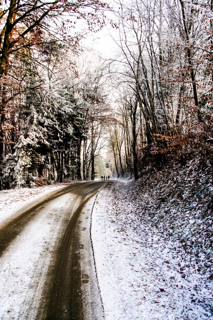 Photo route au milieu des arbres contre le ciel en hiver