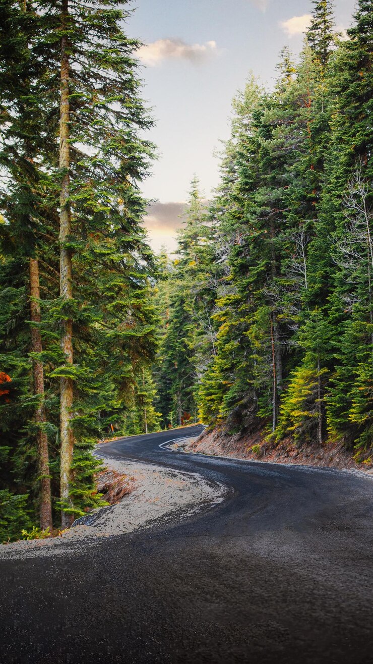 Photo une route au milieu des arbres contre le ciel