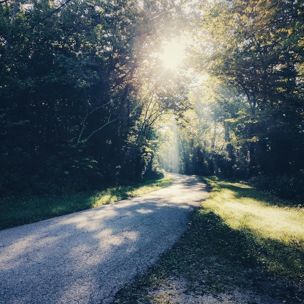 Photo une route au milieu des arbres contre le ciel