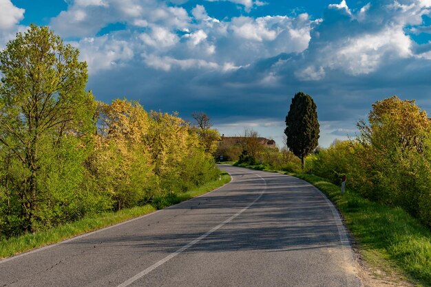 Photo une route au milieu des arbres contre le ciel