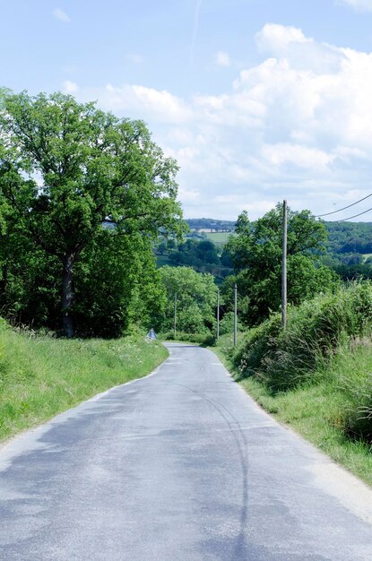 Une route au milieu des arbres contre le ciel