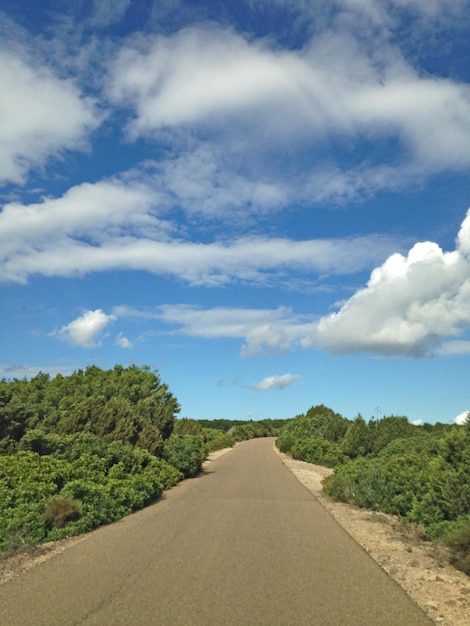 Photo une route au milieu des arbres contre le ciel