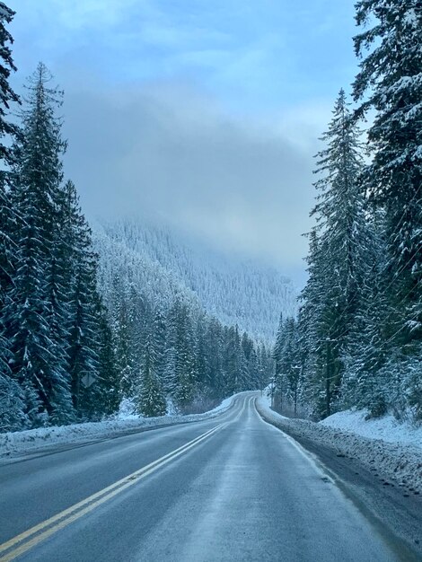La route au milieu des arbres couverts de neige contre le ciel