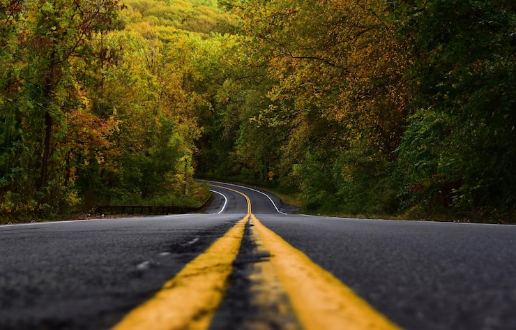 Photo route au milieu des arbres dans la forêt en automne