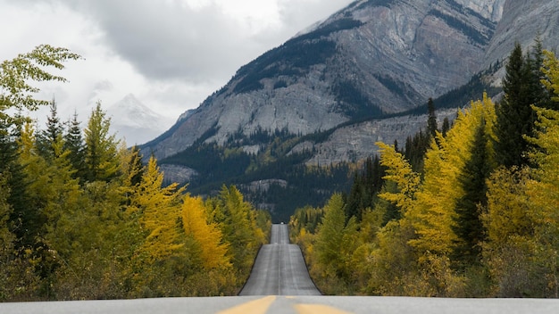 Route au milieu des arbres et des montagnes contre le ciel en automne