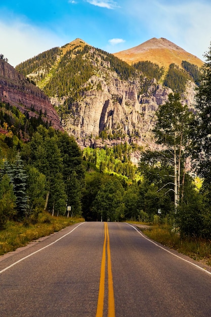 Une route au milieu des arbres et des montagnes contre le ciel