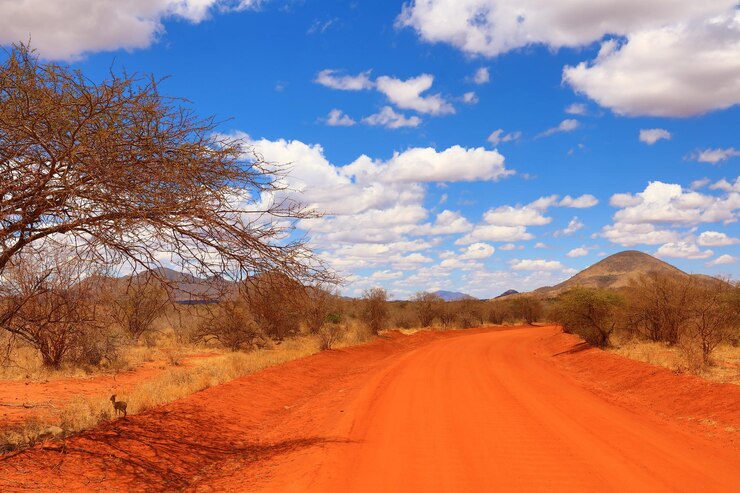 Photo la route au milieu des arbres nus contre le ciel