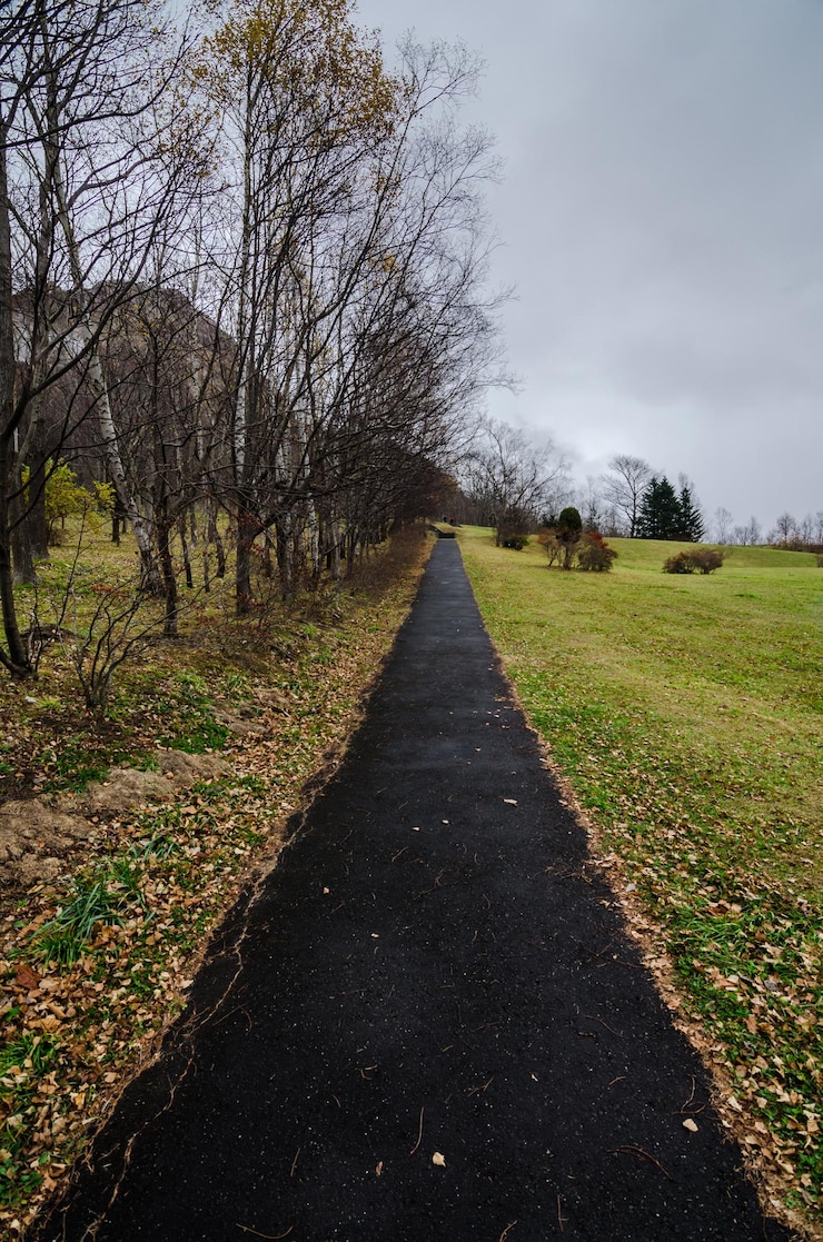 Photo une route au milieu d'arbres nus contre le ciel
