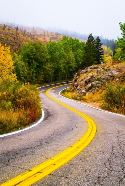 Photo une route au milieu des arbres et des plantes contre le ciel