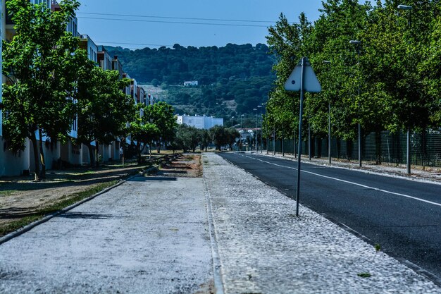 La route au milieu des arbres et de la ville contre un ciel clair