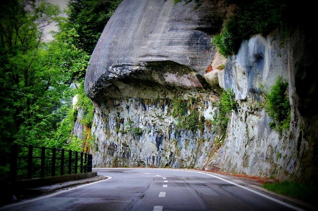 Une route au milieu des arbres