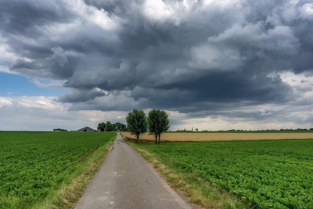 Une route au milieu d'un champ agricole contre un ciel nuageux