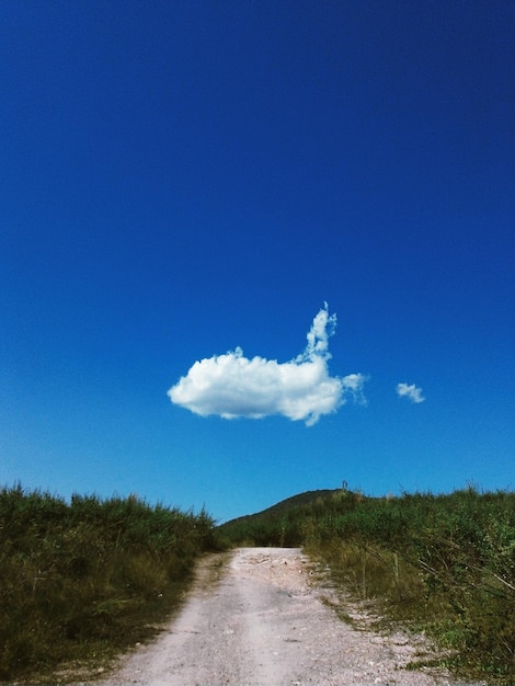 Photo une route au milieu d'un champ contre un ciel bleu clair