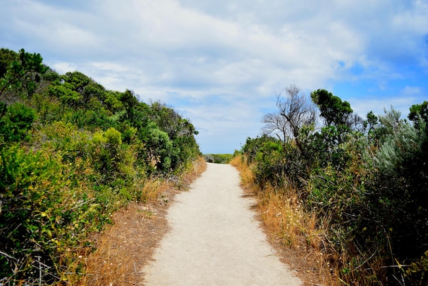 La route au milieu du champ contre le ciel