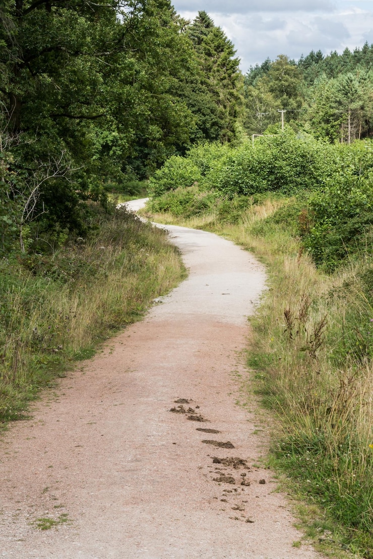 Photo la route au milieu du champ contre le ciel