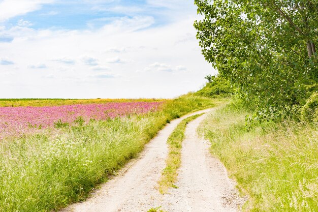 Photo la route au milieu du champ contre le ciel