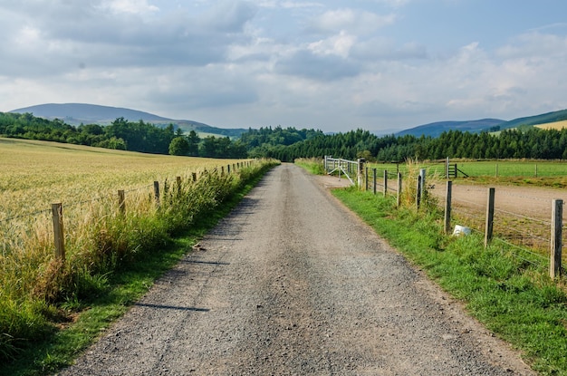 La route au milieu du champ contre le ciel